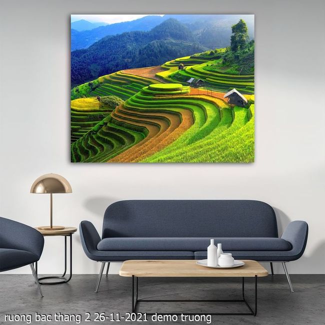 ruong bac thang 2 26 11 2021 truong 